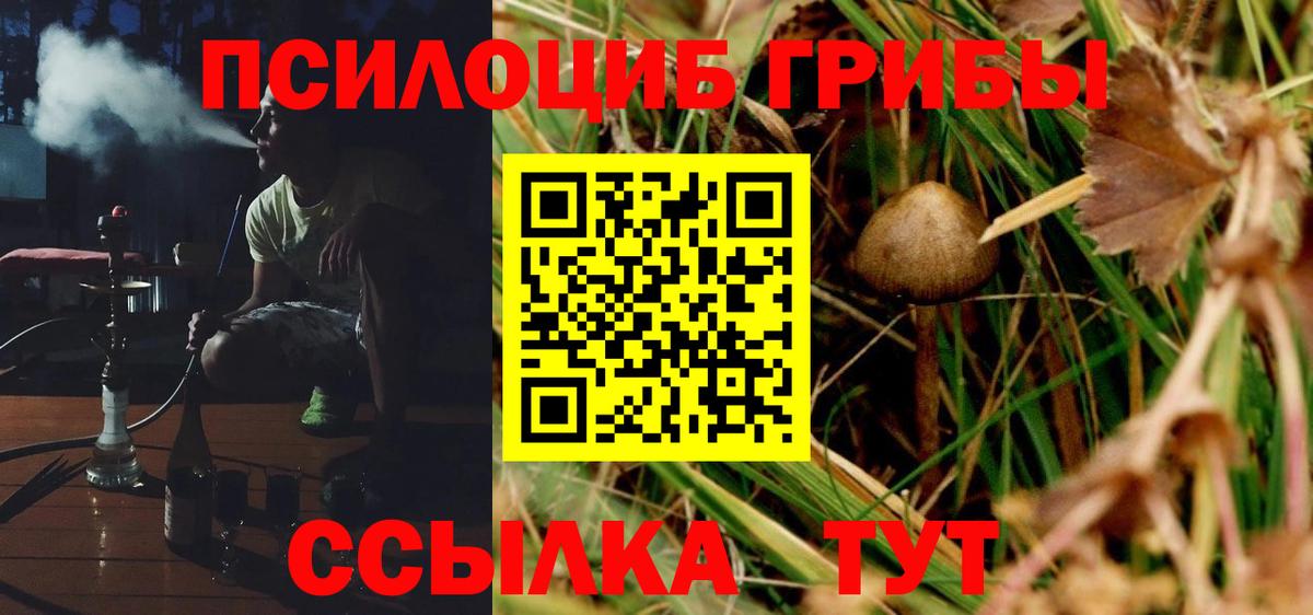 Жигулёвск  Псилоцибиновые грибы Magic Shrooms  Псилоцибиновые грибы Psilocybe  Вход с VPN 